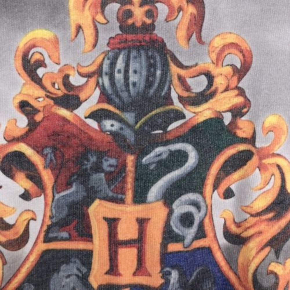 🌿 Harry Potter Hogwarts Crest Raglan Sweatshirt - Picture 2 of 4